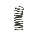 Ad: VRS Throttle Spring